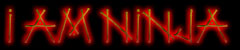 I Am Ninja