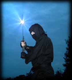 Ninja spirit